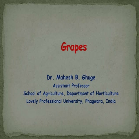 Grapes - Dr. Mahesh Ghuge