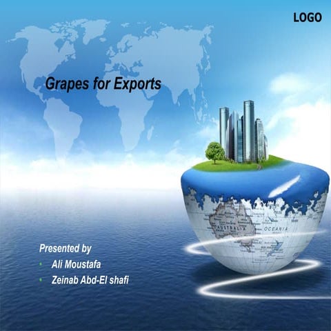 Grapes for exports-EG