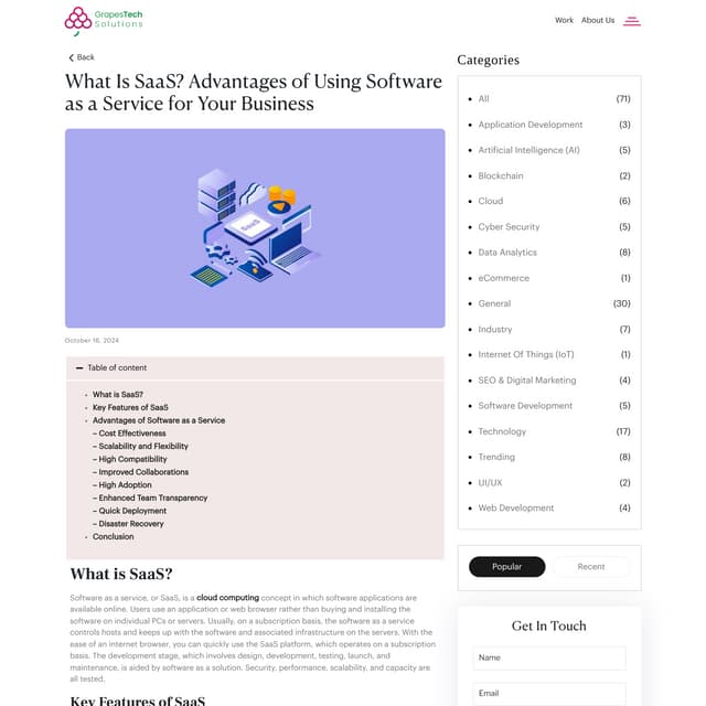What Is SaaS | 8 Advantages of Software as a Service for Your Business