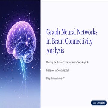 Graph Neural Networks in Brain Connectivity Analysis