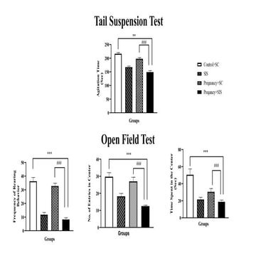 how to make graphs for your thesis and fyps