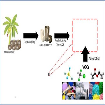Graphical abstract to slideshare.pptx