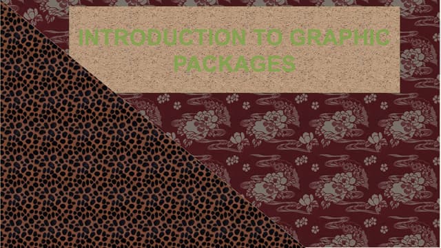 An introduction to computer graphic packages