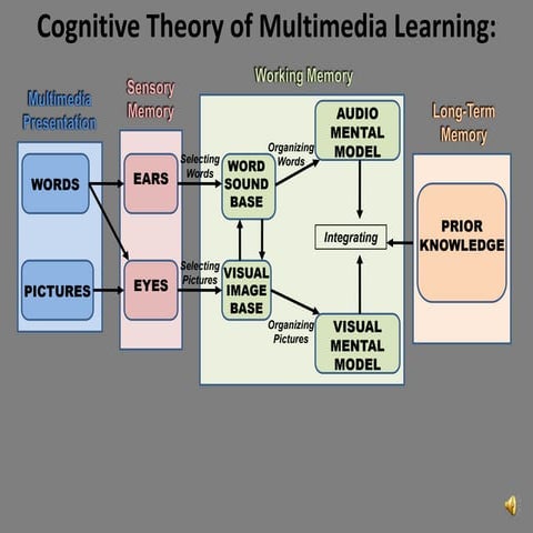 Cognitive Theory of Multimedia Learning