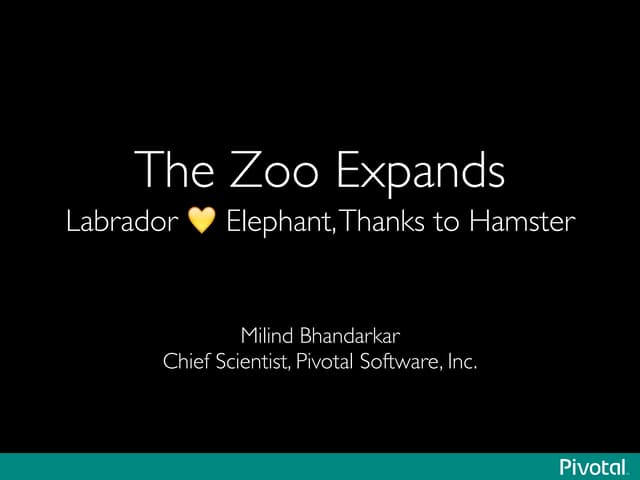 The Zoo Expands: Labrador *Loves* Elephant, Thanks to Hamster
