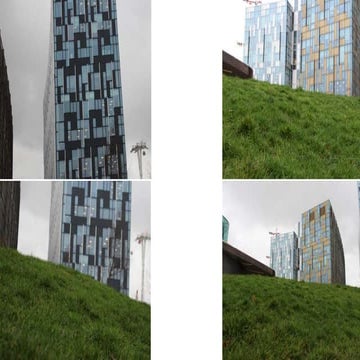 Grass initial images