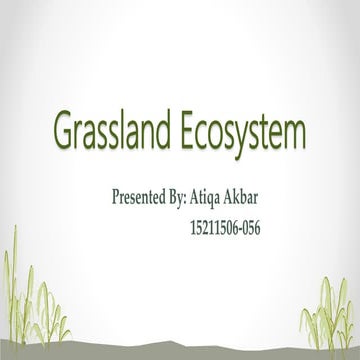 Grassland ecosystem