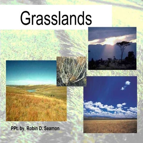 Grassland notes:  Notes on world's grassland types & organisms' adaptations t...