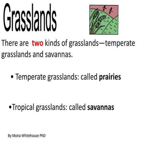 Grasslands (teach)