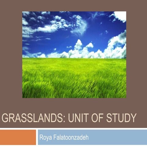 Grasslands unit of study