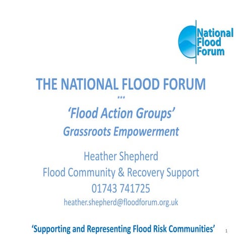 Grassroot flood action_groups