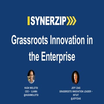 Grassroots Innovation In The Enterprise | PPTX