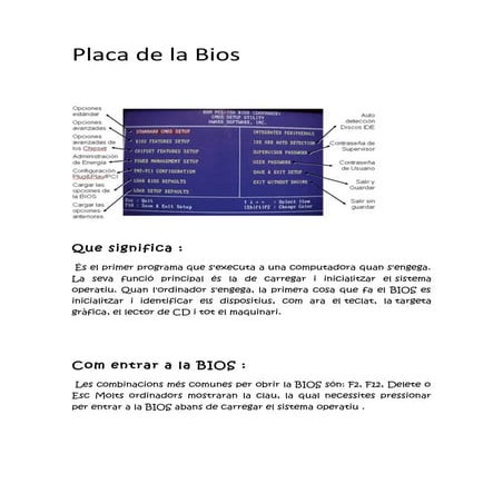 Bios | DOCX