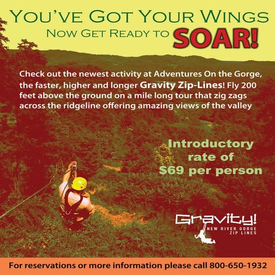 Gravityinhouseposter