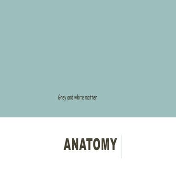 gray and white matter of spinal cord.pdf