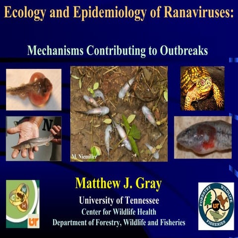 Ecology and Epidemiology of Ranaviruses