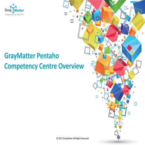 graymatter-pentaho-consulting-services-.pdf