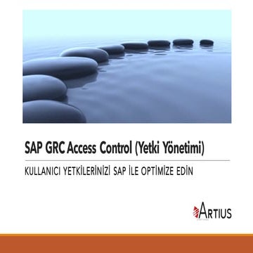 Etkin Yetki Yönetimi - SAP GRC Access Control