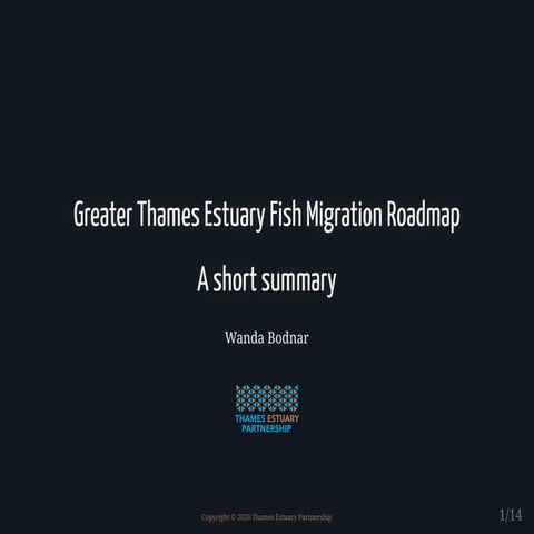 River classification smj_july25_english | PDF