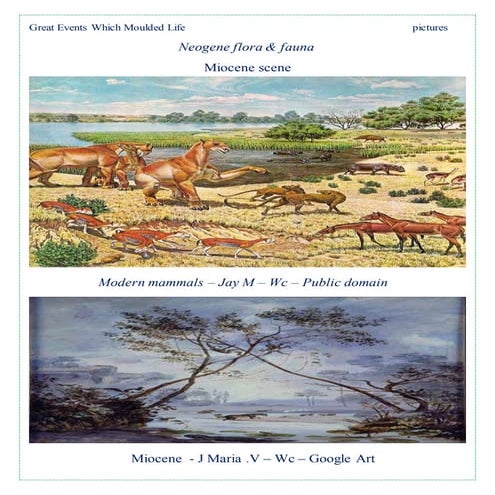 Great events which moulded life tertiary period paleogene -pictures ...