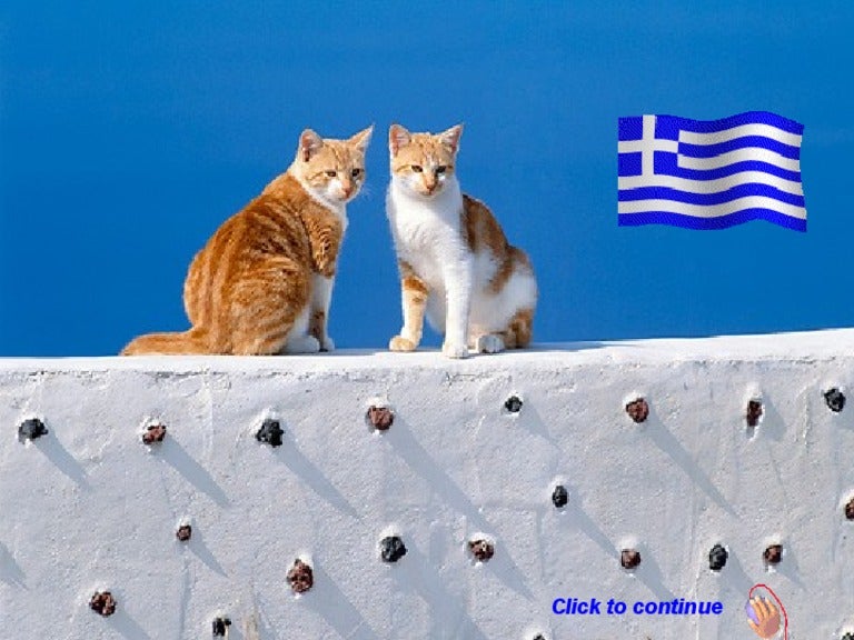 Greek Cats. (Nikos)