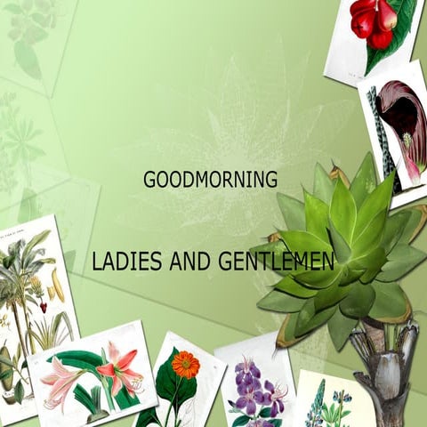 Green advertising | PPT