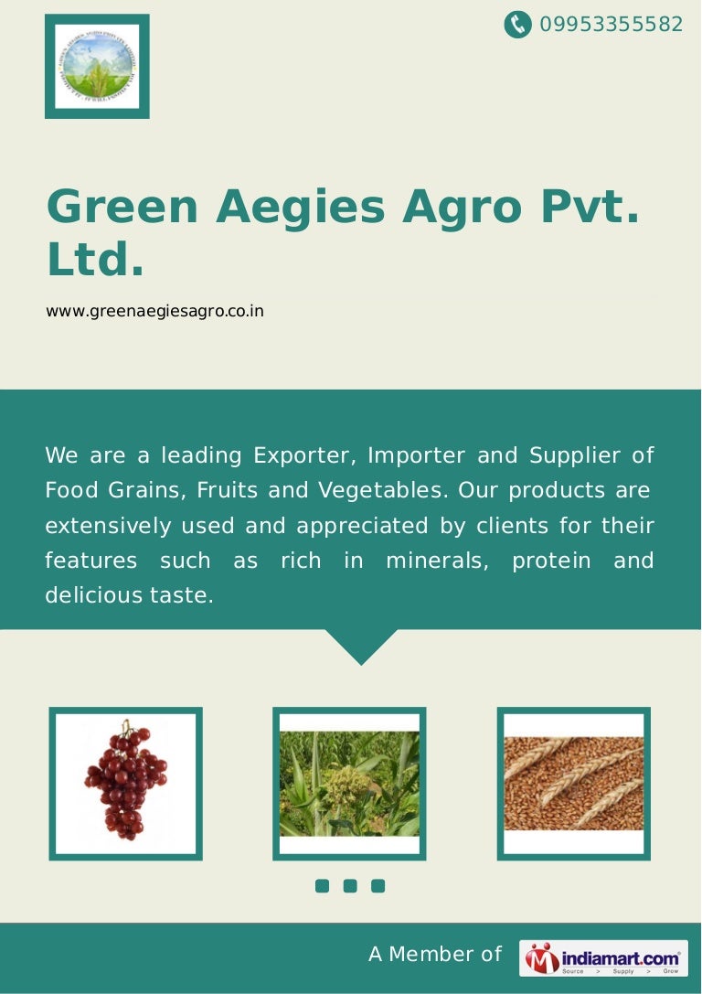 Green Aegies Agro Pvt. Ltd., Pune, Fresh Fruits