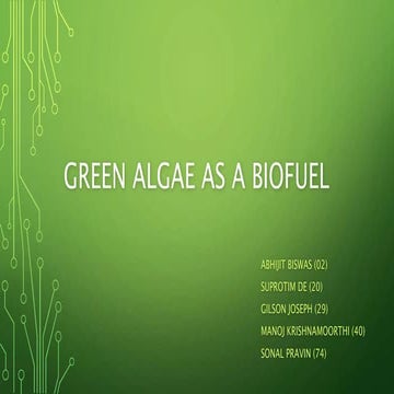 Green algae as a biofuel