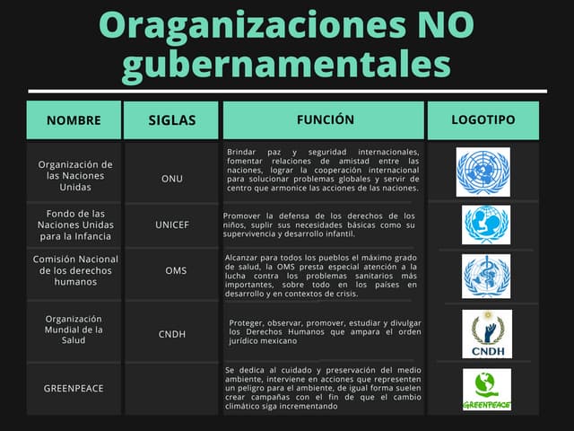 Organizaciones No gubernamentales | PDF
