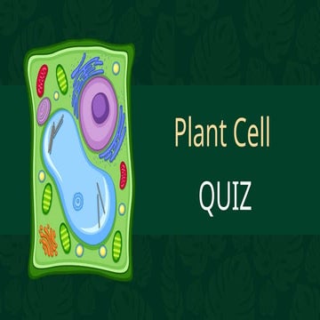 Green and Yellow Illustrative Plant Cell Presentation.pptx