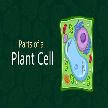 Green and Yellow Illustrative Plant Cell Presentation.pptx