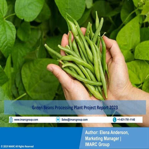 Oats Processing Plant Project Report PPT | Plant Cost 2023: Machinery ...