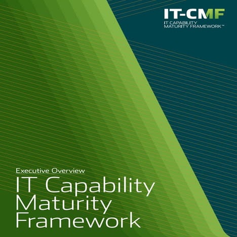 Executive Overview of IT Strategy and Capability Maturity Framework