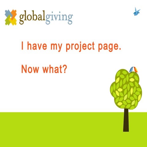 Green Challenge - Crowdfunding