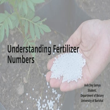 Understanding Fertilizer Numbers (N-P-K)