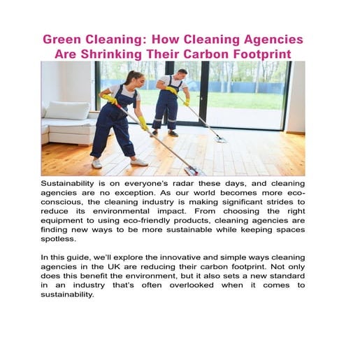 Professional Solution Cleaning Services.pptx