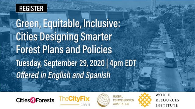 Green, Equitable, Inclusive: Cities Designing Smarter Forest Plans and Policies