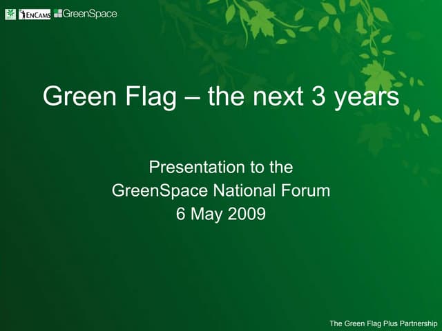 Green Flag - the next 3 years