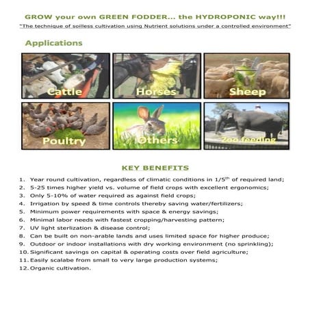 Green Fodder Hydroponics