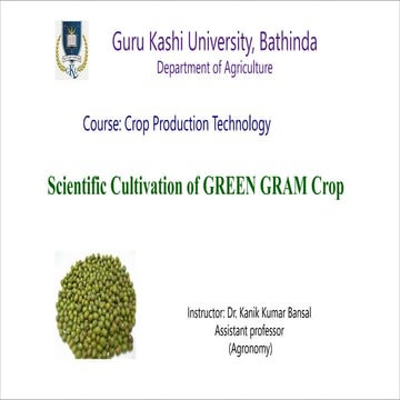 Scientific Cultivation of Green Gram....
