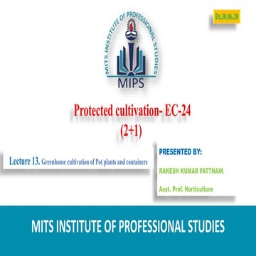 Greenhouse cultivation of pot plants and containers