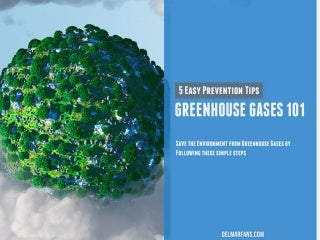 Greehouse Gases 101: 5 Easy Prevention Tips