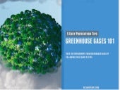 Greehouse Gases 101: 5 Easy Prevent...