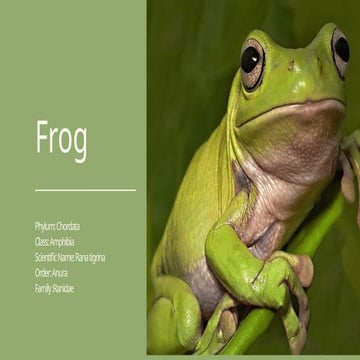 FROG - structural organization of animal | PDF