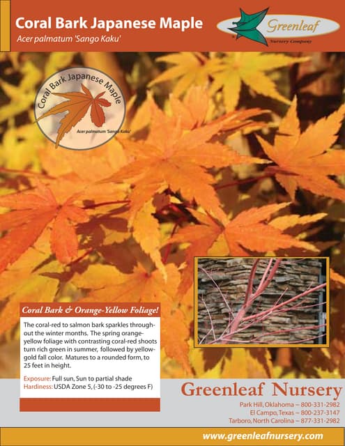 Greenleaf Project