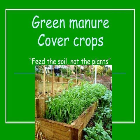 Green manure