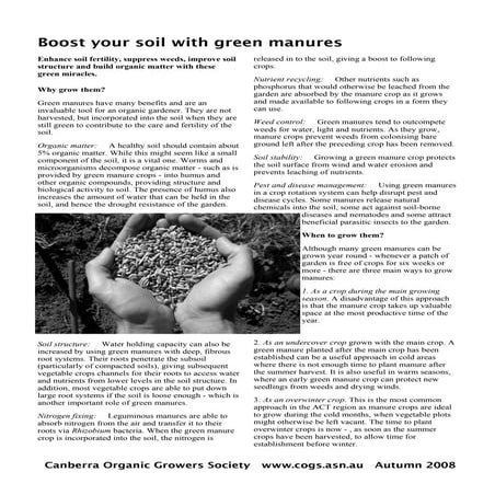 Boost Your Soil with Green Manures