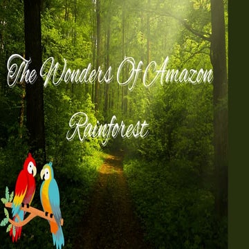The wonders of amazon rainforest presentation