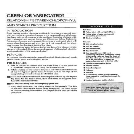 Green or variegated prac