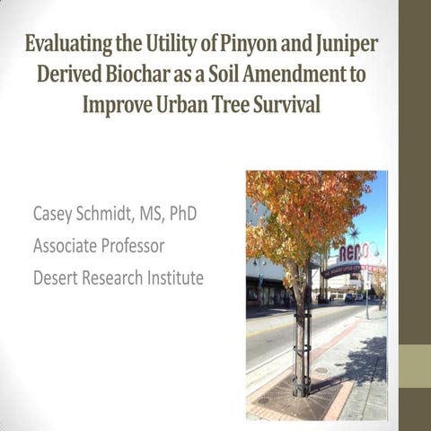 Evaluating the Utility of Pinyon and Juniper Derived Biochar as a Soil Amendm...
